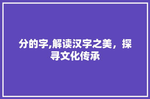 分的字,解读汉字之美，探寻文化传承