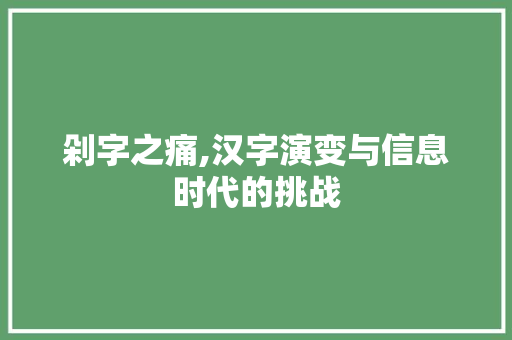 剁字之痛,汉字演变与信息时代的挑战
