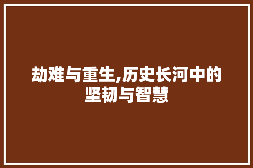 劫难与重生,历史长河中的坚韧与智慧