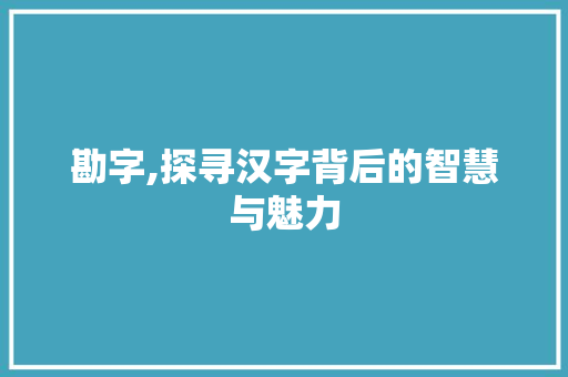 勘字,探寻汉字背后的智慧与魅力 个人简历