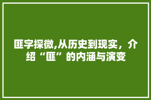匪字探微,从历史到现实，介绍“匪”的内涵与演变