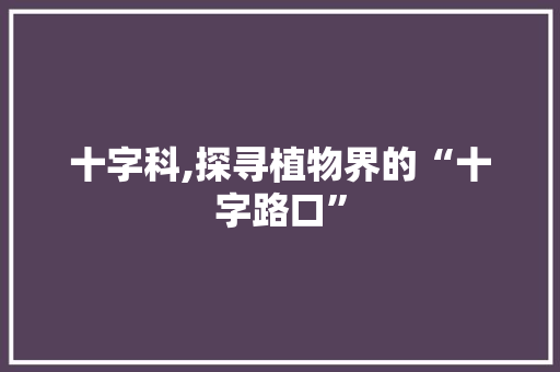 十字科,探寻植物界的“十字路口”