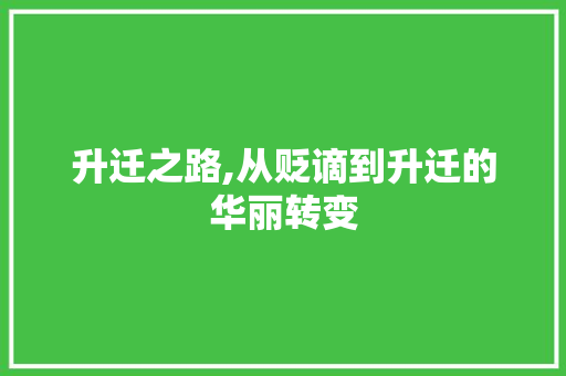 升迁之路,从贬谪到升迁的华丽转变
