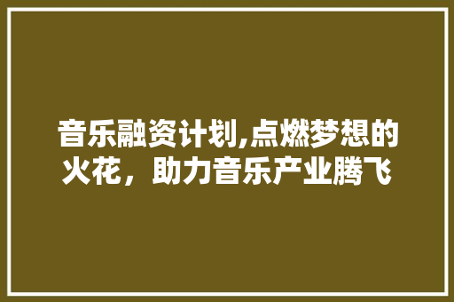 音乐融资计划,点燃梦想的火花，助力音乐产业腾飞