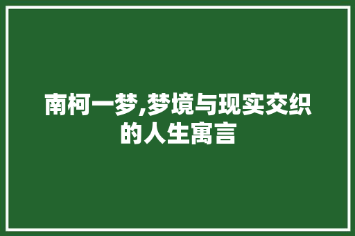 南柯一梦,梦境与现实交织的人生寓言