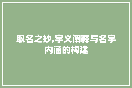 取名之妙,字义阐释与名字内涵的构建