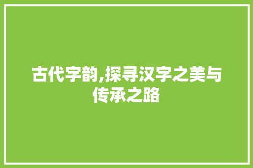 古代字韵,探寻汉字之美与传承之路