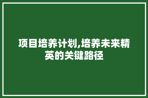 项目培养计划,培养未来精英的关键路径 合同范本