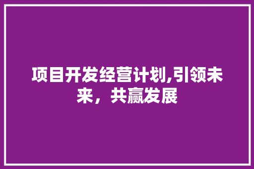项目开发经营计划,引领未来，共赢发展
