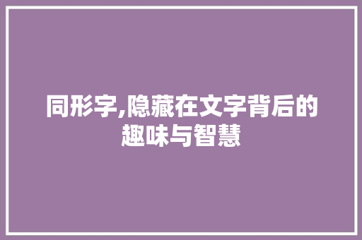 同形字,隐藏在文字背后的趣味与智慧 工作计划