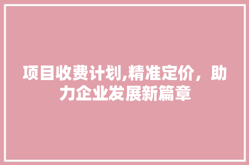 项目收费计划,精准定价，助力企业发展新篇章