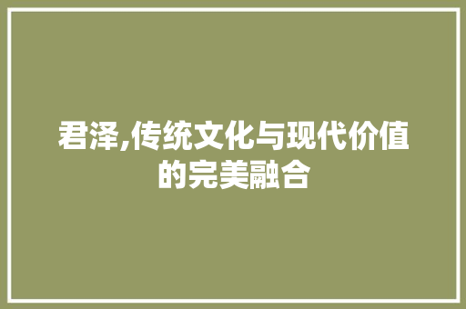 君泽,传统文化与现代价值的完美融合