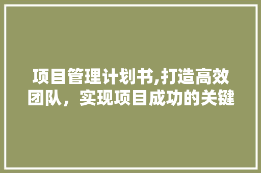 项目管理计划书,打造高效团队，实现项目成功的关键