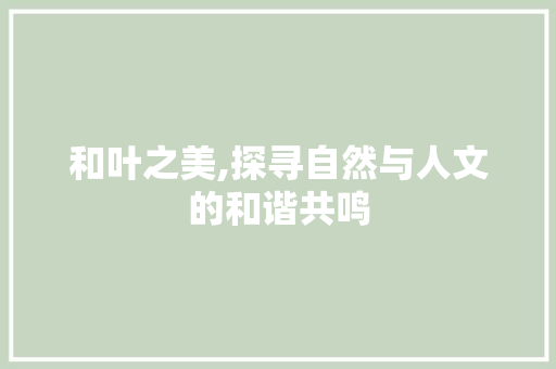 和叶之美,探寻自然与人文的和谐共鸣
