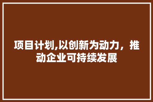 项目计划,以创新为动力，推动企业可持续发展