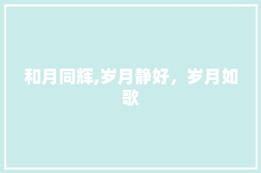 和月同辉,岁月静好，岁月如歌