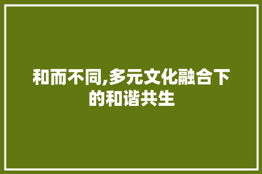 和而不同,多元文化融合下的和谐共生