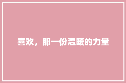 喜欢，那一份温暖的力量