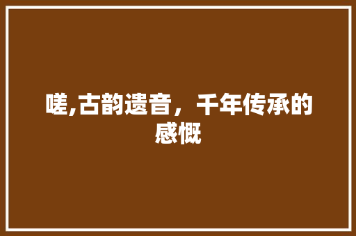 嗟,古韵遗音，千年传承的感慨