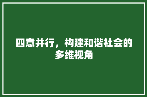 四意并行，构建和谐社会的多维视角