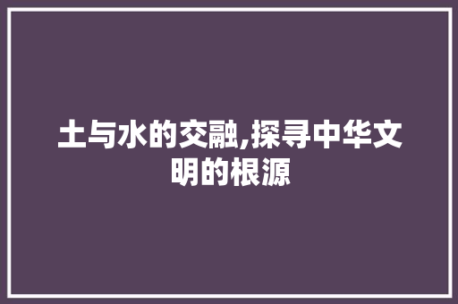 土与水的交融,探寻中华文明的根源