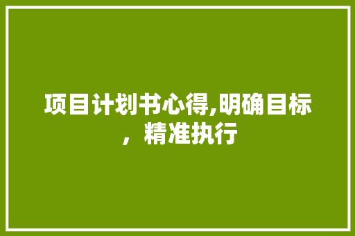 项目计划书心得,明确目标，精准执行