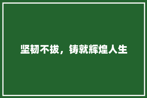 坚韧不拔，铸就辉煌人生