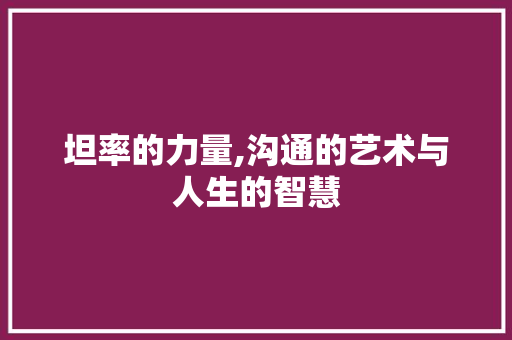 坦率的力量,沟通的艺术与人生的智慧