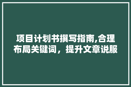 项目计划书撰写指南,合理布局关键词，提升文章说服力