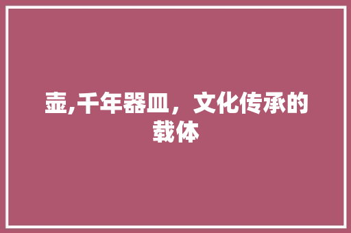 壶,千年器皿，文化传承的载体