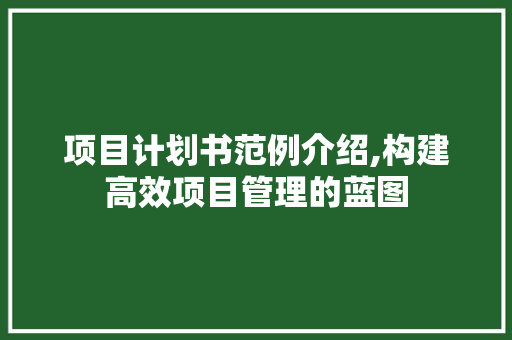项目计划书范例介绍,构建高效项目管理的蓝图
