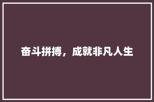 奋斗拼搏，成就非凡人生