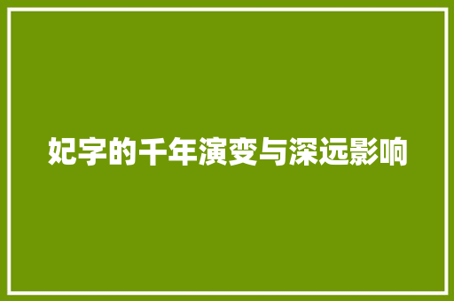 妃字的千年演变与深远影响