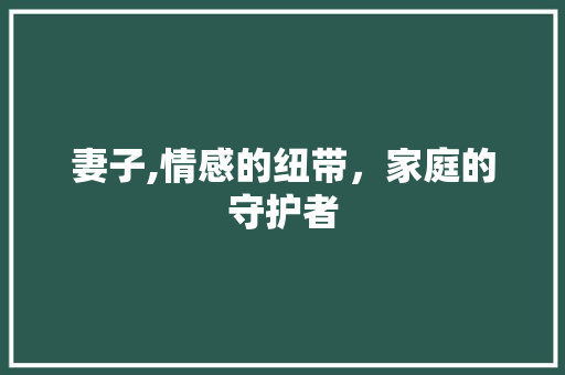 妻子,情感的纽带，家庭的守护者