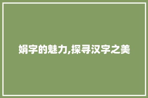 娟字的魅力,探寻汉字之美