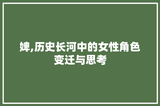 婢,历史长河中的女性角色变迁与思考