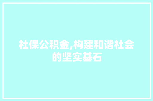 社保公积金,构建和谐社会的坚实基石