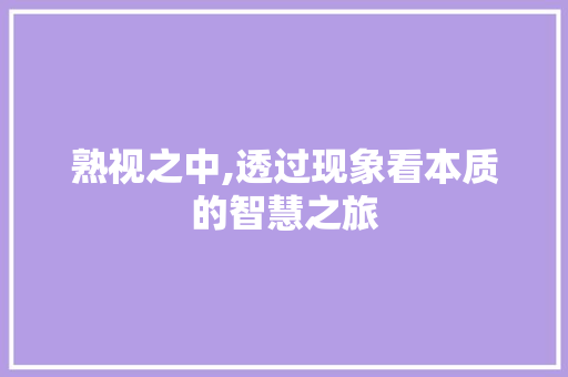 熟视之中,透过现象看本质的智慧之旅