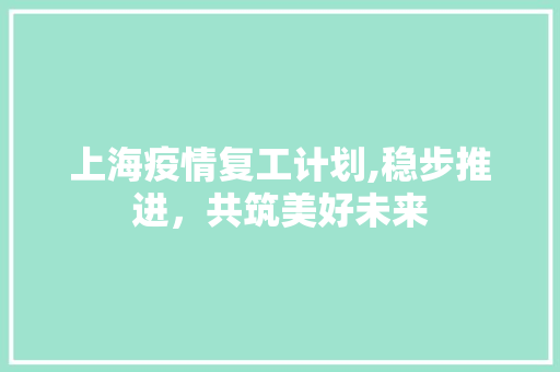 上海疫情复工计划,稳步推进，共筑美好未来