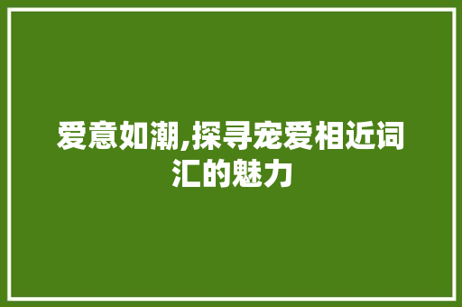 爱意如潮,探寻宠爱相近词汇的魅力