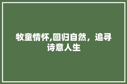 牧童情怀,回归自然，追寻诗意人生