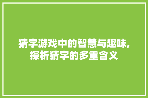 猜字游戏中的智慧与趣味,探析猜字的多重含义