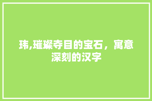 玮,璀璨夺目的宝石，寓意深刻的汉字