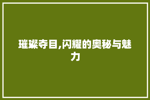 璀璨夺目,闪耀的奥秘与魅力