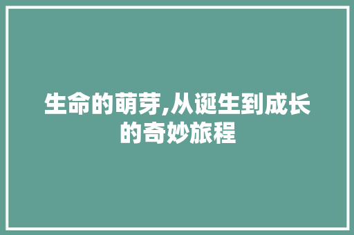 生命的萌芽,从诞生到成长的奇妙旅程