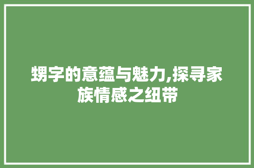甥字的意蕴与魅力,探寻家族情感之纽带
