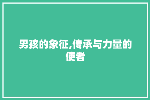 男孩的象征,传承与力量的使者