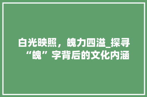 白光映照，魄力四溢_探寻“魄”字背后的文化内涵