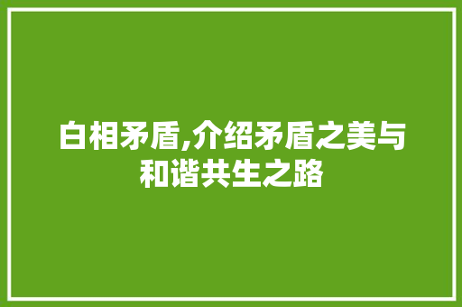 白相矛盾,介绍矛盾之美与和谐共生之路