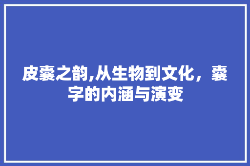 皮囊之韵,从生物到文化，囊字的内涵与演变